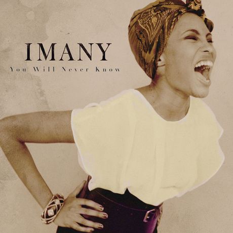 You Will Never Know (Remix), Imany